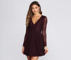 Windsor. Secret Obsession Lace Skater Dress | Shop Top Deals