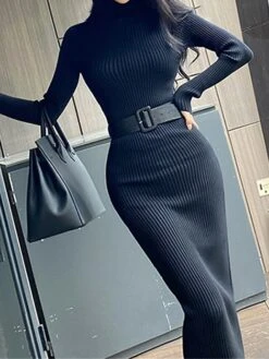 Women's Sweater Dress Jumper Dress Casual Dress Midi Dress Fashion Plain Outdoor Daily Going Out Turtleneck Long Sleeve 2023 Regular Fit Black White One Size -HANA Luxury Wear Shop bbhpkf1696434530715