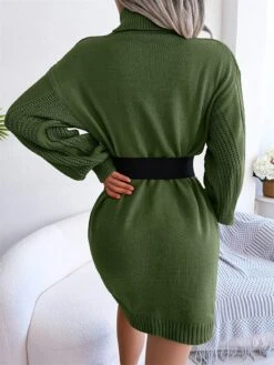 Women's Sweater Dress Winter Dress Jumper Dress Mini Dress Ruched Daily Date Going Out Active Fashion Turtleneck Long Sleeve 2023 Loose Fit White Khaki Army Green Color S M L Size -HANA Luxury Wear Shop bewjtu1692863443075