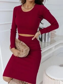 Women's Two Piece Dress Set Casual Dress Skirt Set Outdoor Daily Fashion Sexy Ribbed Midi Dress Crew Neck Long Sleeve Plain Regular Fit Black Wine Green Fall Winter S M L XL -HANA Luxury Wear Shop djhyfi1695268224607