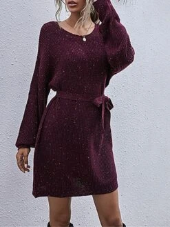 Women's Sweater Dress Jumper Dress Casual Dress Mini Dress Warm Pure Color Outdoor Casual Daily Going Out Crew Neck Long Sleeve Lace Up 2023 Loose Fit Wine Dark Gray Beige S M L 22 Women's Sweater Dress Jumper Dress Casual Dress Mini Dress Warm Pure Color Outdoor Casual Daily Going Out Crew Neck Long Sleeve Lace Up 2023 Loose Fit Wine Dark Gray Beige S M L -HANA Luxury Wear Shop dnoxcl1695106687647