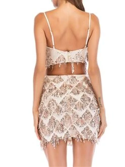 Women's Two Piece Dress Set Party Dress Skirt Set Party Cocktail Party Fashion Party Tassel Fringe Backless Mini Dress Strap Sleeveless Plain Slim Champagne Gold Spring Fall S M L XL -HANA Luxury Wear Shop edxqly1692935665810