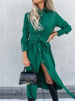 Women's Shirt Dress Shift Dress Swing Dress Maxi Long Dress Winter Dress Daily Holiday Polyester Elegant Classic Shirt Collar Button With Belt Long Sleeve Spring Fall Winter 2023 Regular Fit Black -HANA Luxury Wear Shop ipxkwl1663559808035