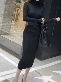 Women's Sweater Dress Jumper Dress Casual Dress Midi Dress Fashion Plain Outdoor Daily Going Out Turtleneck Long Sleeve 2023 Regular Fit Black White One Size -HANA Luxury Wear Shop jrrczw1696434534484