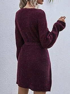 Women's Sweater Dress Jumper Dress Casual Dress Mini Dress Warm Pure Color Outdoor Casual Daily Going Out Crew Neck Long Sleeve Lace Up 2023 Loose Fit Wine Dark Gray Beige S M L 23 Women's Sweater Dress Jumper Dress Casual Dress Mini Dress Warm Pure Color Outdoor Casual Daily Going Out Crew Neck Long Sleeve Lace Up 2023 Loose Fit Wine Dark Gray Beige S M L -HANA Luxury Wear Shop lntsvm1695106688636