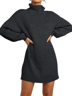 Women's Sweater Dress Winter Dress Jumper Dress Mini Dress Patchwork Outdoor Street Daily Fashion Streetwear Turtleneck Long Sleeve 2023 Loose Fit Black Pink Wine Color S M L XL XXL Size -HANA Luxury Wear Shop lxebvi1692707076728