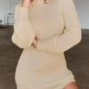 Women's Sweater Dress Winter Dress Jumper Dress Mini Dress Ribbed Outdoor Street Daily Fashion Streetwear Turtleneck Long Sleeve 2023 Regular Fit Dark Blue Apricot Gray Color S M L XL XXL Size