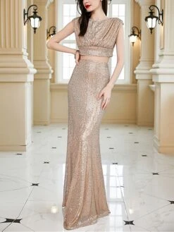 Women's Two Piece Dress Set Party Dress Skirt Set Party Wedding Guest Fashion Elegant Sequin Long Dress Maxi Dress Crew Neck Sleeveless Plain Regular Fit Apricot Summer Spring S M L XL -HANA Luxury Wear Shop nndslo1690274868401