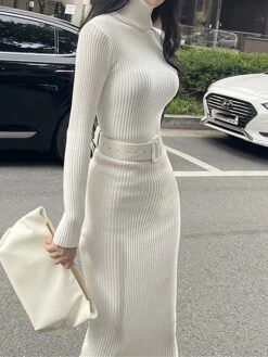 Women's Sweater Dress Jumper Dress Casual Dress Midi Dress Fashion Plain Outdoor Daily Going Out Turtleneck Long Sleeve 2023 Regular Fit Black White One Size -HANA Luxury Wear Shop nwrqrm1696434528552