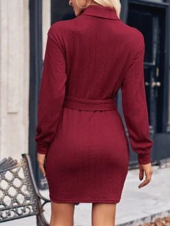 Women's Sweater Dress Jumper Dress Casual Dress Mini Dress Fashion Pure Color Outdoor Casual Daily Going Out Turtleneck Long Sleeve Lace Up 2023 Regular Fit Black Wine Khaki S M L XL -HANA Luxury Wear Shop onhhnb1692340171517