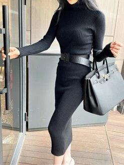 Women's Sweater Dress Jumper Dress Casual Dress Midi Dress Fashion Plain Outdoor Daily Going Out Turtleneck Long Sleeve 2023 Regular Fit Black White One Size -HANA Luxury Wear Shop qiwcxm1696434531676
