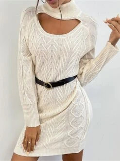 Women's Sweater Dress Winter Dress Jumper Dress Mini Dress Cut Out Outdoor Street Daily Fashion Streetwear Stand Collar Long Sleeve 2023 Loose Fit Apricot Color S M L Size -HANA Luxury Wear Shop suboih1695036513810