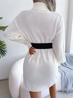 Women's Sweater Dress Winter Dress Jumper Dress Mini Dress Ruched Daily Date Going Out Active Fashion Turtleneck Long Sleeve 2023 Loose Fit White Khaki Army Green Color S M L Size -HANA Luxury Wear Shop uftzsk1692863446233