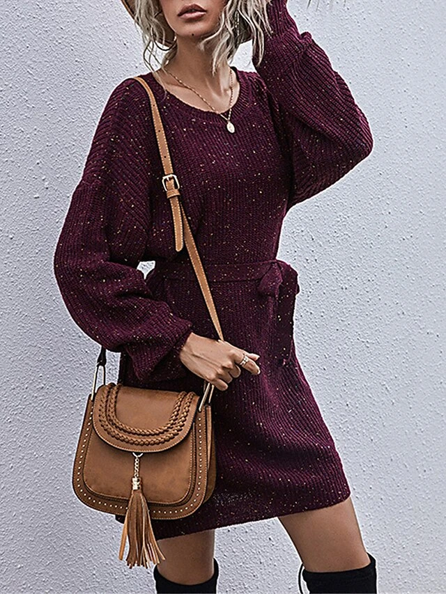 Women's Sweater Dress Jumper Dress Casual Dress Mini Dress Warm Pure Color Outdoor Casual Daily Going Out Crew Neck Long Sleeve Lace Up 2023 Loose Fit Wine Dark Gray Beige S M L 9 Women's Sweater Dress Jumper Dress Casual Dress Mini Dress Warm Pure Color Outdoor Casual Daily Going Out Crew Neck Long Sleeve Lace Up 2023 Loose Fit Wine Dark Gray Beige S M L - Image 7