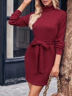 Women's Sweater Dress Jumper Dress Casual Dress Mini Dress Fashion Pure Color Outdoor Casual Daily Going Out Turtleneck Long Sleeve Lace Up 2023 Regular Fit Black Wine Khaki S M L XL -HANA Luxury Wear Shop zwtoxy1692340170249